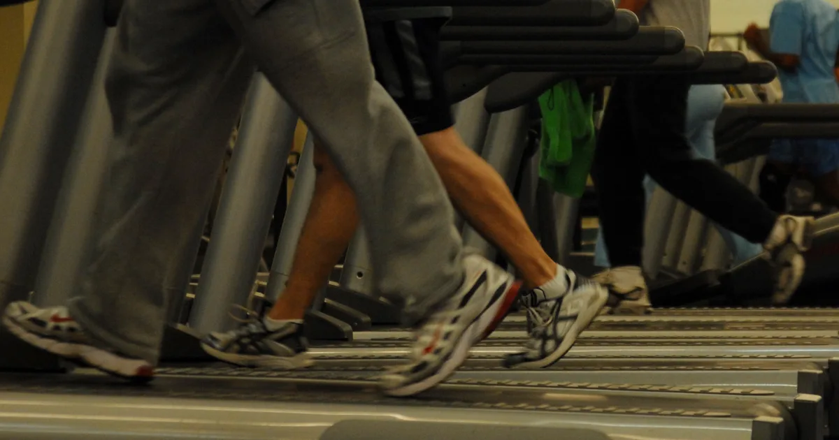 Cintas de correr en una sala de entrenamiento para explicar uso y mantenimiento de una iWalk
